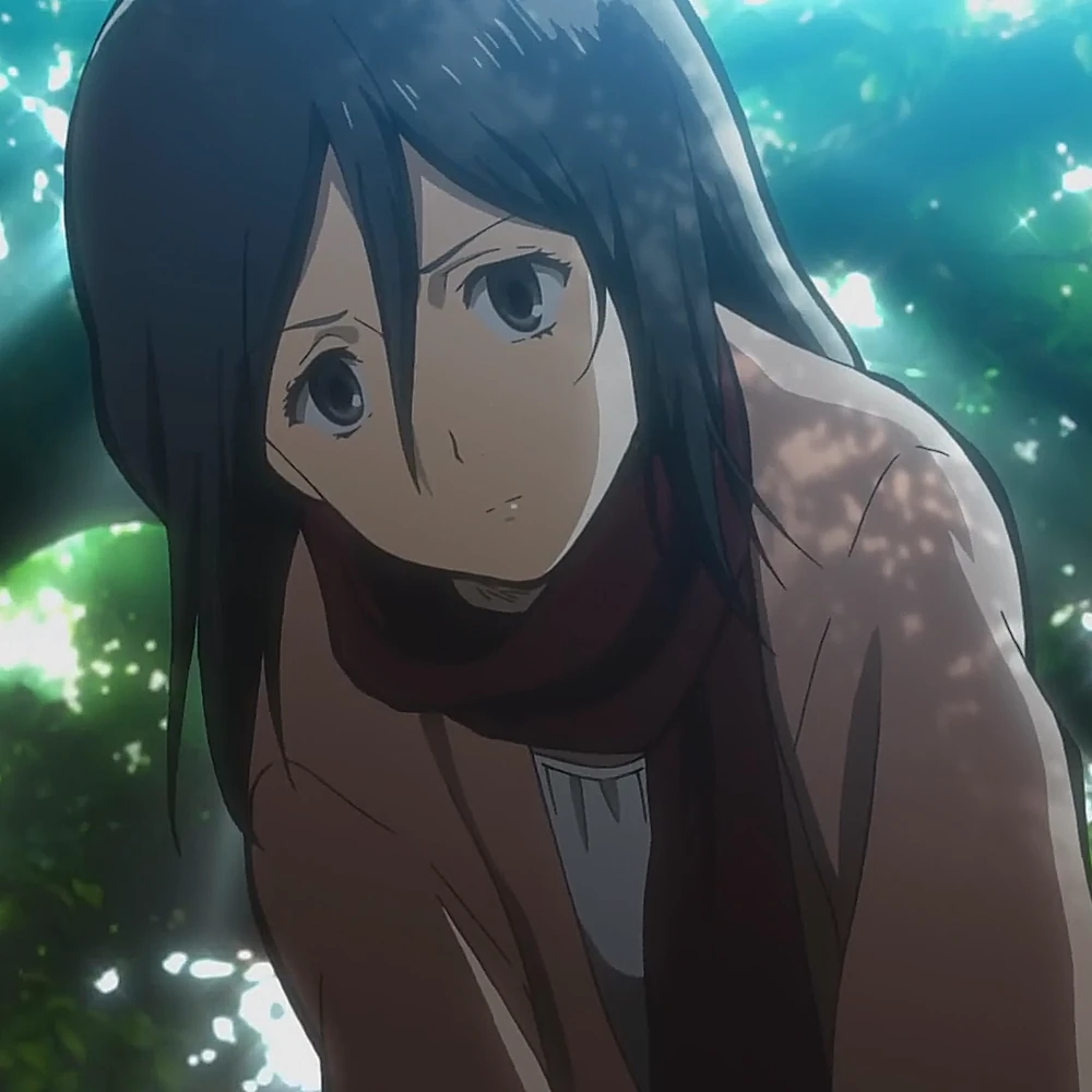 Mikasa Ackermann - Attack on Titan